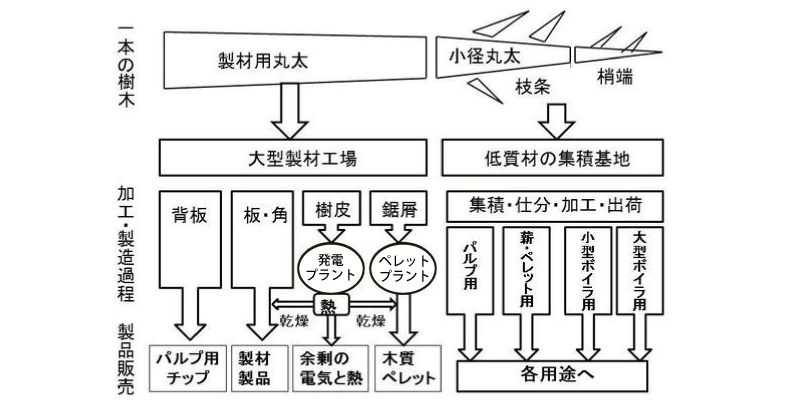 森林から伐り出される樹木のカスケード利用の概念
